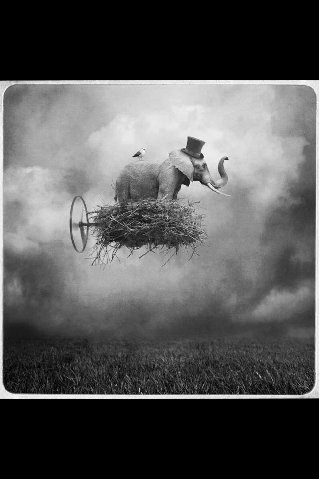 Mockup of Ecom Express e-commerce platform